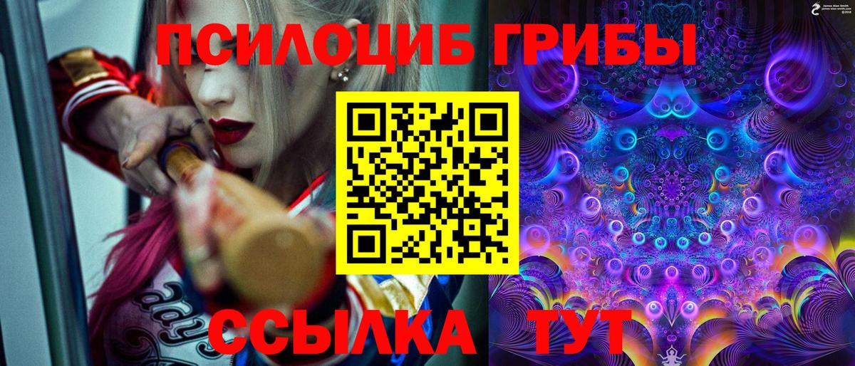 Краснокаменск  Псилоцибиновые грибы GOLDEN TEACHER  Вход с VPN 