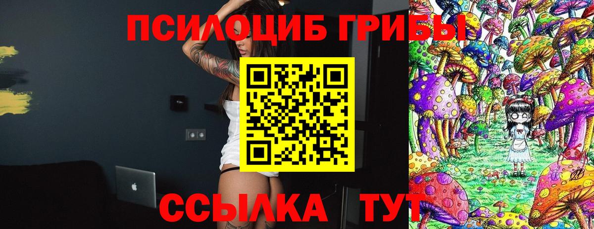 Псилоцибиновые грибы Psilocybine cubensis Краснокаменск